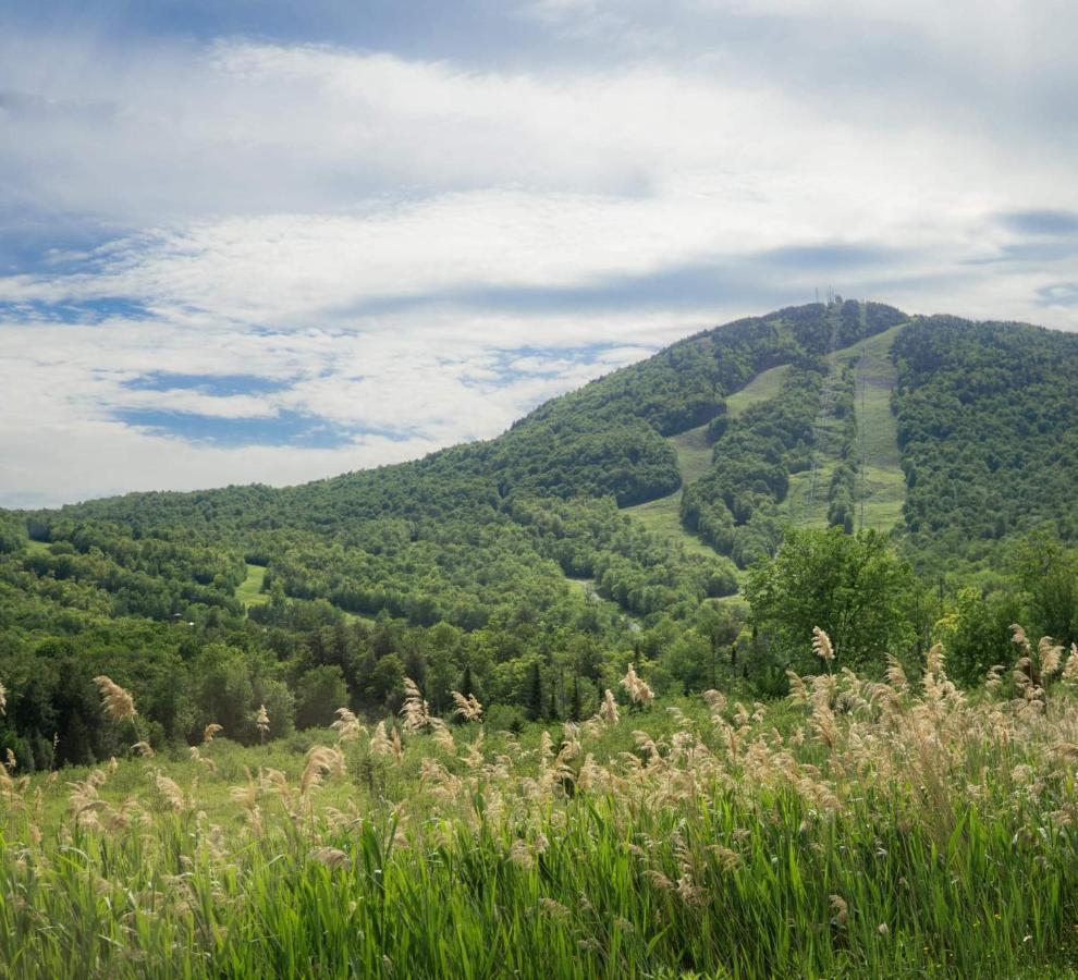 Condo Hotel Au Pied Du Mont Orford Экстерьер фото